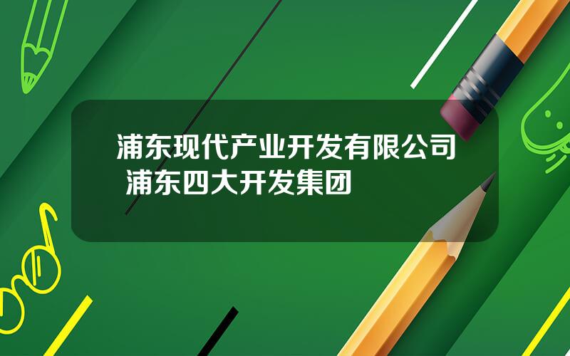 浦东现代产业开发有限公司 浦东四大开发集团